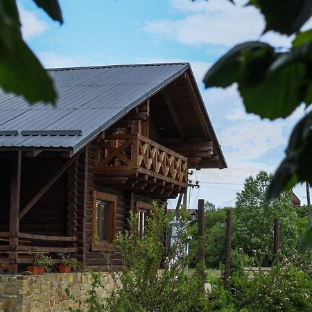 Сottage "Ksenija" Котедж "Ксенія" Skole ภายนอก รูปภาพ